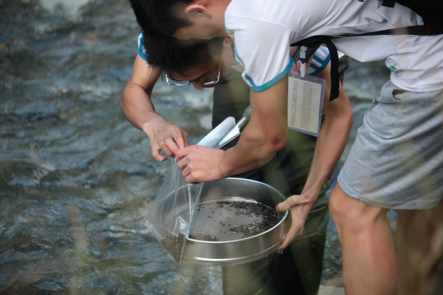 野马河底栖采样 野马河底栖采样